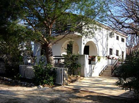 Vesna Pag Potocnica Apartment Borovici Ngoại thất bức ảnh